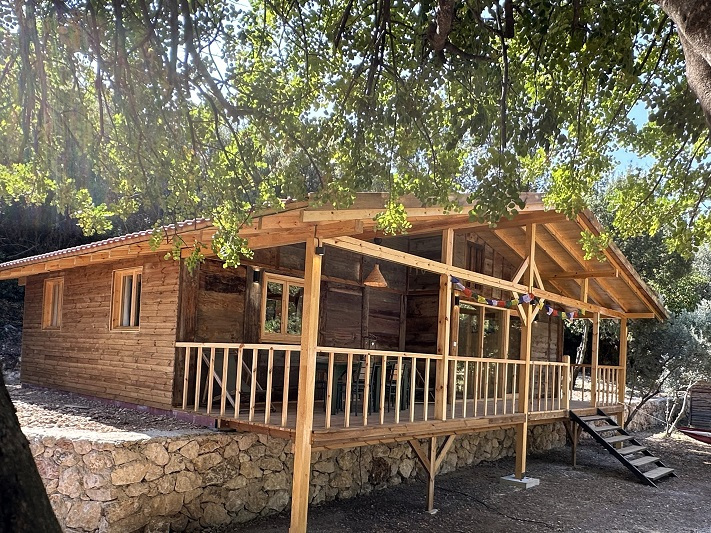 Chalet 'Golden Goose'