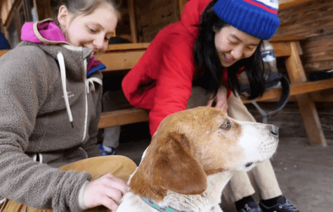 The amazing wildlife in Jo.Si.To.